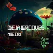 Песня Alex Cecil - Deja Grooves (Original Mix)