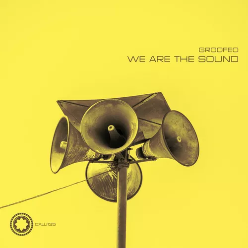 Песня Groofeo - We Are The Sound (Windom R Remix)