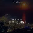 Песня Tim Hanmann - City Glow (Extented Mix)