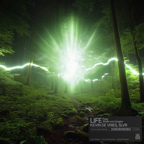 Песня Kevin De Vries & Slvr feat. Stella Von Lingen - Life (Original Mix)