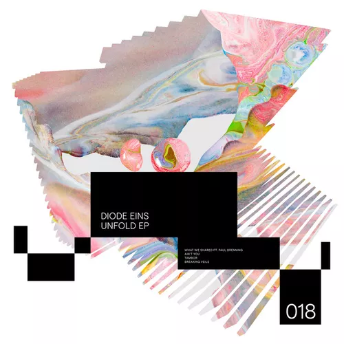 Песня Diode Eins & Paul Brenning - What We Shared (Original Mix)