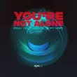 Песня P.O.U & Delta Vaults feat. Rory Hope - You're Not Alone (Extended Mix)