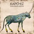 Песня Kapchiz - Danrakadin (Original Mix)