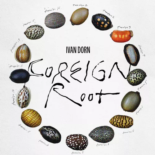 Песня Иван Дорн - Foreign Root