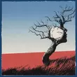 Песня Ollane - Фотография