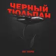 Песня Олег Бодров - Черный Тюльпан