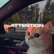 Песня Rendow - Attention (feat. Isvnbitov)