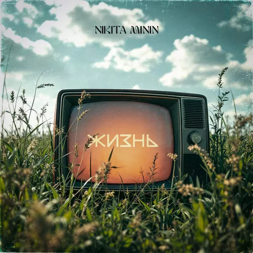 Песня Nikita Minin - Жизнь