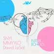 Песня Snyl & David Lesal - I Remember Those Nights (Original Mix)