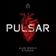 Песня Alan Wools & Etonika - Pulsar (Original Mix)