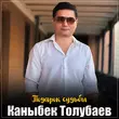 Каныбек Толубаев от Подарок Судьбы