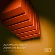 Песня Undermoon & Kostyn feat. Cherry (UA) & Boosin - Clint Eastwood (Extended Mix)
