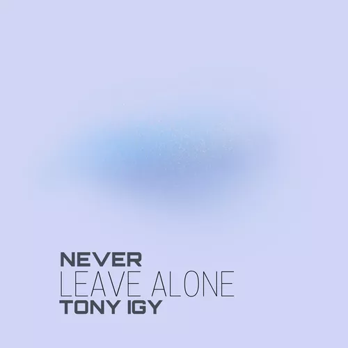 Песня Tony Igy - Never Leave Alone