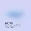 Песня Tony Igy - Never Leave Alone