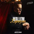 Песня Wallem - Харизма (Asketix Remix)