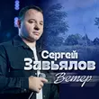 Сергей Завьялов от Ветер