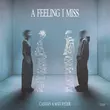 Cassian & Matt Ryder от A Feeling I Miss (Original Mix)