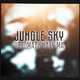 Песня Jungle Sky - Поломали Хату Ма