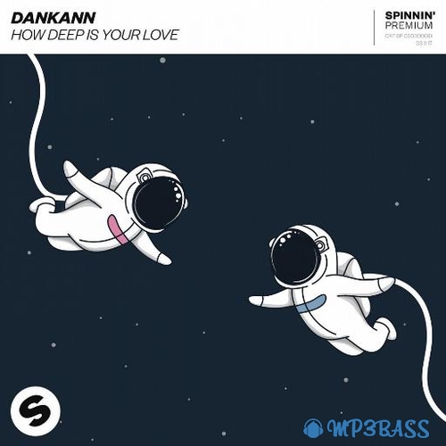 Песня Dankann - How Deep Is Your Love (Extended Mix)