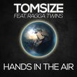 Песня Tomsize - Hands In The Air (feat. Ragga Twins)