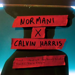 Песня Normani - Slow Down (feat. Calvin Harris)