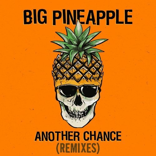 Песня Big Pineapple - Another Chance (Don Diablo Chill Mix)