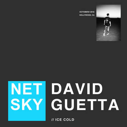 Песня Netsky - Ice Cold (feat. David Guetta)