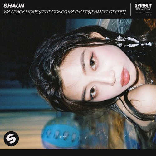 Песня SHAUN & Conor Maynard - Way Back Home (Sam Feldt Edit)