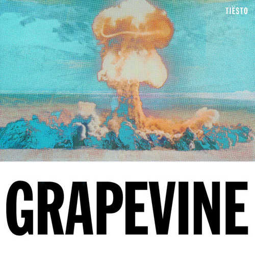 Песня Tiësto - Grapevine (Tujamo Remix)