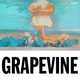 Песня Tiësto - Grapevine (Tujamo Remix)