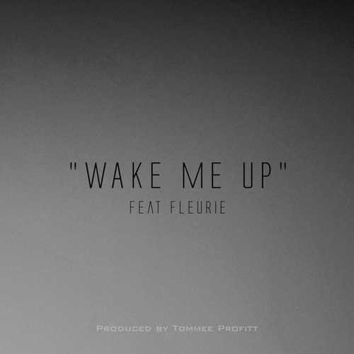 Песня Tommee Profitt - Wake Me Up (feat. Fleurie)