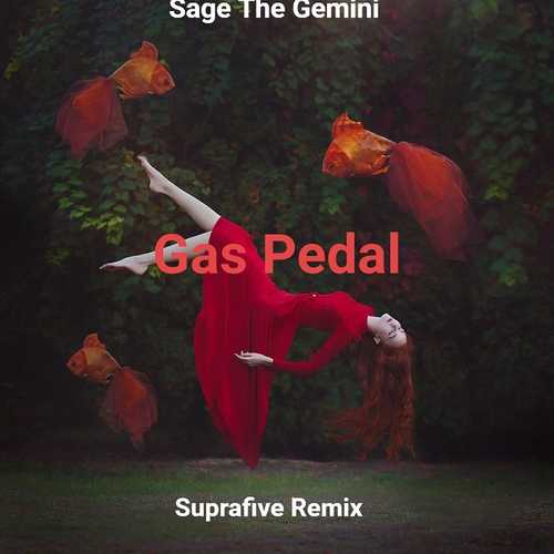 Песня Sage The Gemini - Gas Pedal (Suprafive Remix)