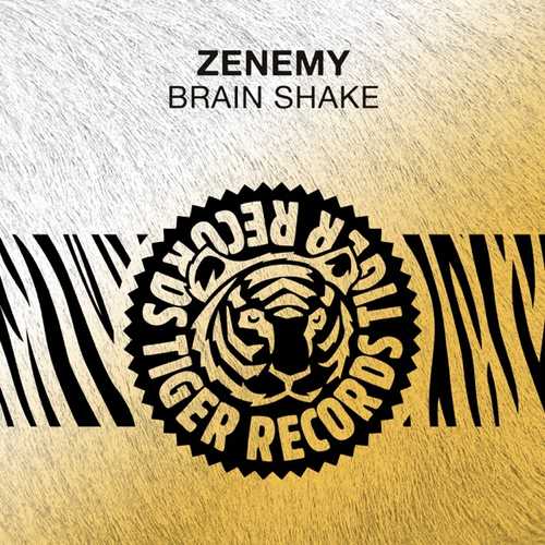 Песня Zenemy - Brain Shake (Original Mix)